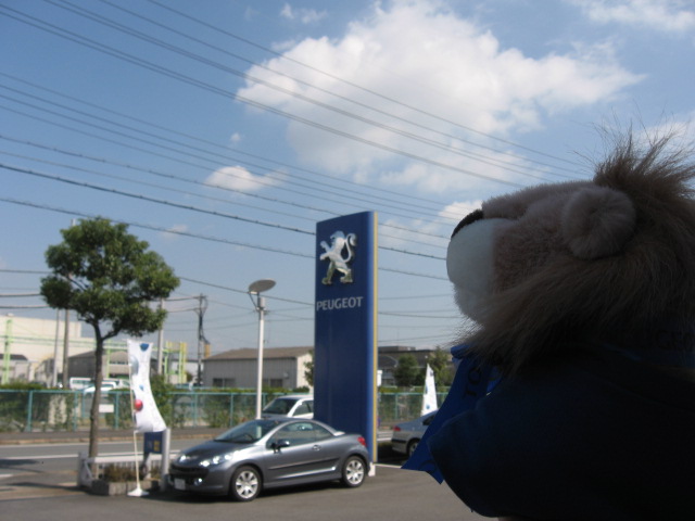 星に願いを…☆