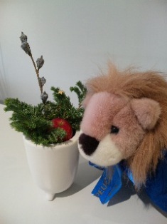 ☆クリスマス☆