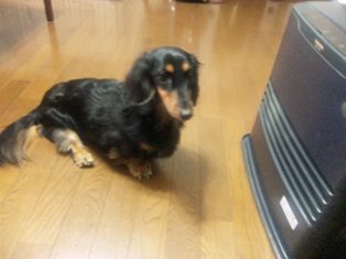 あったかい場所