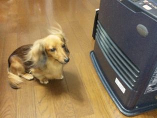 あったかい場所