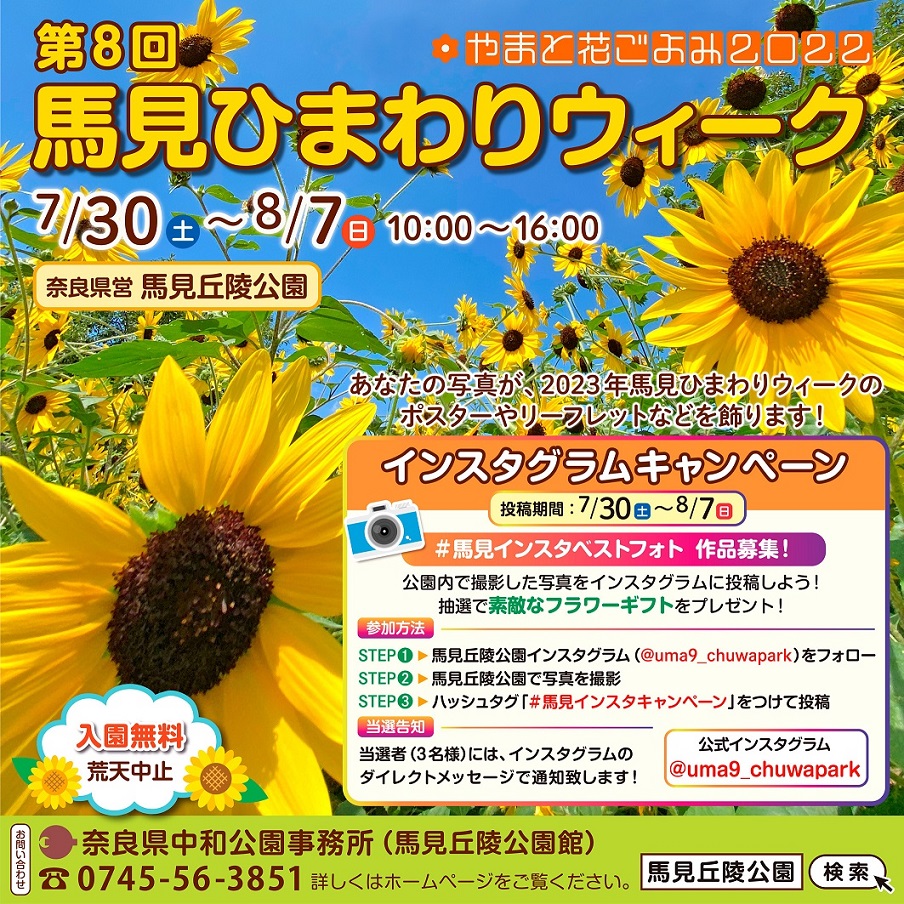 元気になれるお花といえば？🌻