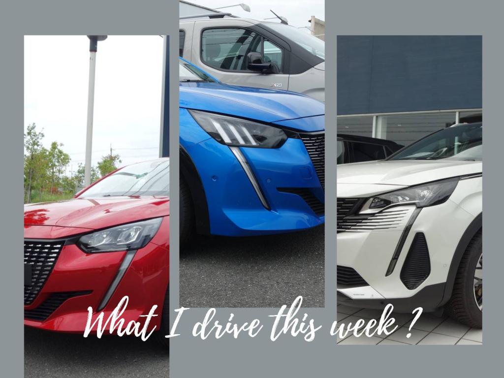 今週 どのクルマに乗ってみる🚗？