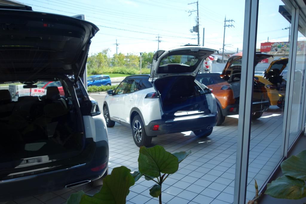 クルマの熱中症対策として🧊