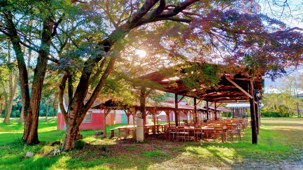 車中泊に憧れて…🚗🖼️