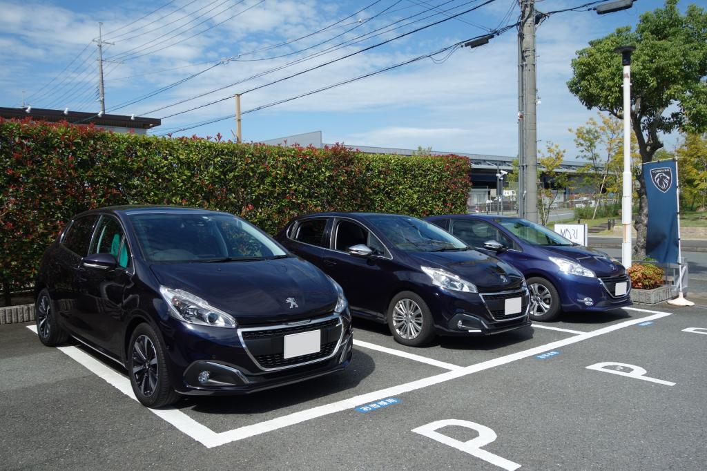 【ショールーム】ありそうでなかった光景🖼️