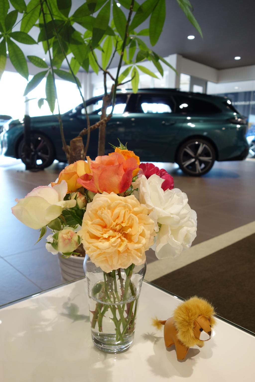 美しい薔薇の季節ですね～🌹