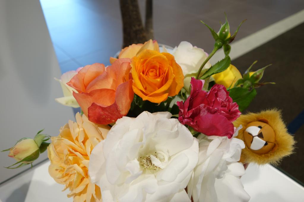 美しい薔薇の季節ですね～🌹