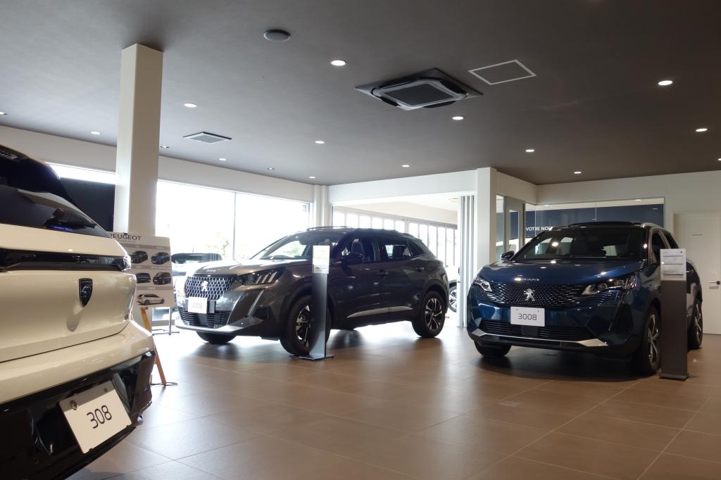 秋らしいカラーバリエーションに🍂