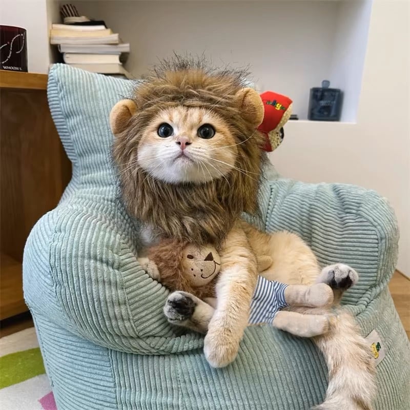 本日は『猫の日』🐈🐈