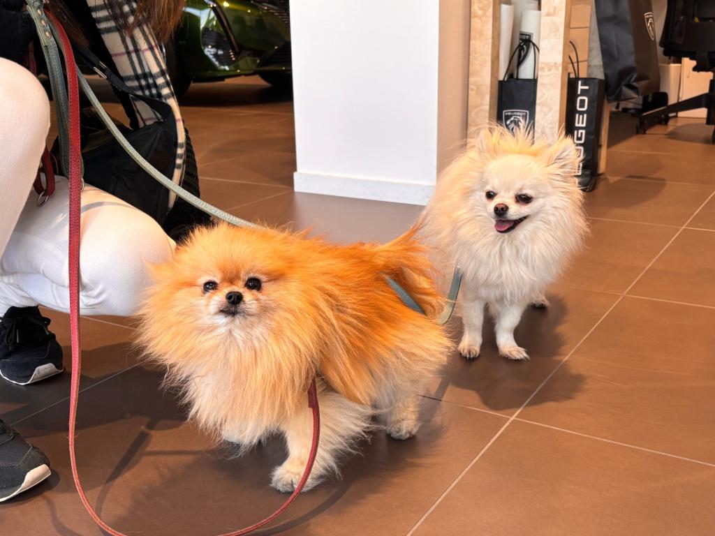 バッテリー交換キャンペーンを行ってます🙇🏻‍♂️