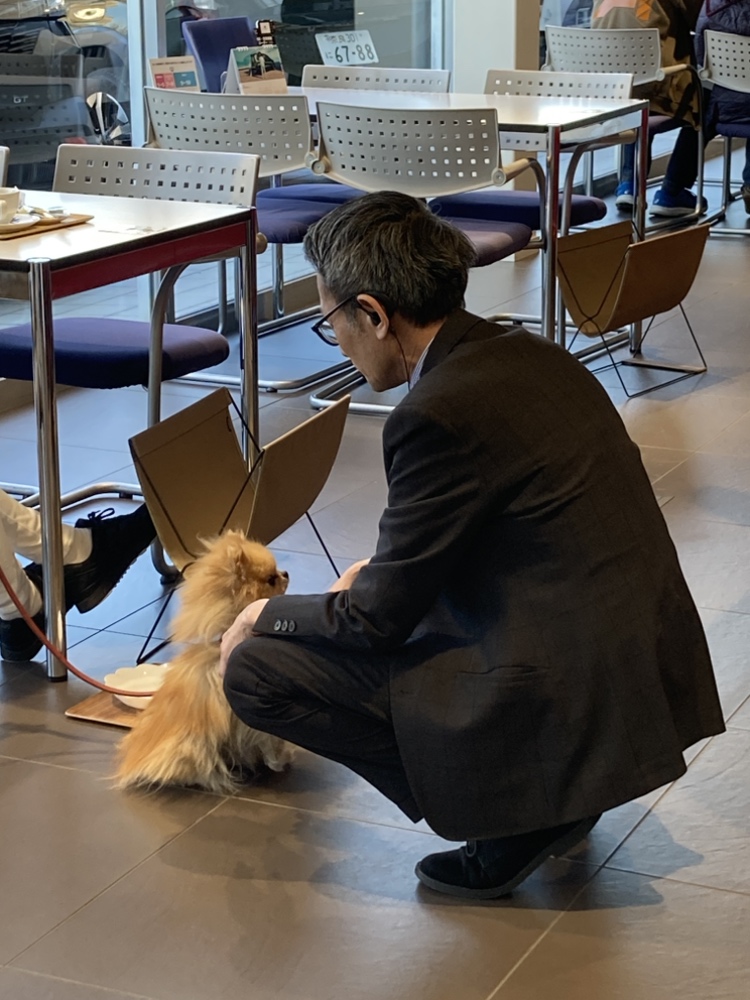 明日は定休日になっております🙇🏻‍♀️🙇🏻‍♀️