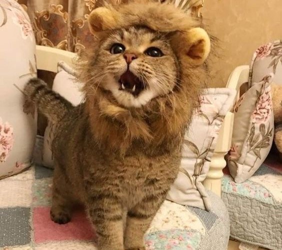 明日は定休日になっております🙇🏻‍♀️🙇🏻‍♀️