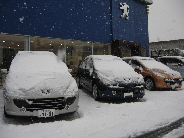 大雪注意報！！