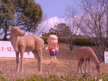 せっ、せんとくん！！