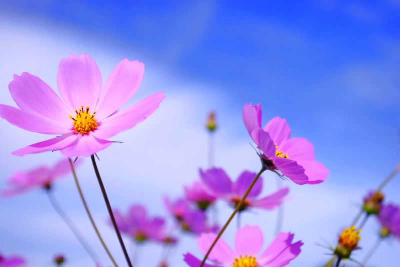 ９月度連休のお知らせ