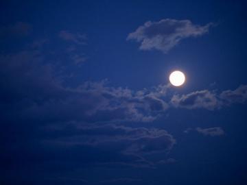 お盆に出来なかった大事な事。