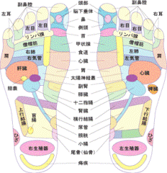 最近の癒され事情