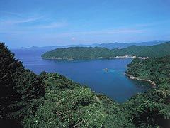 早いもので・・・。