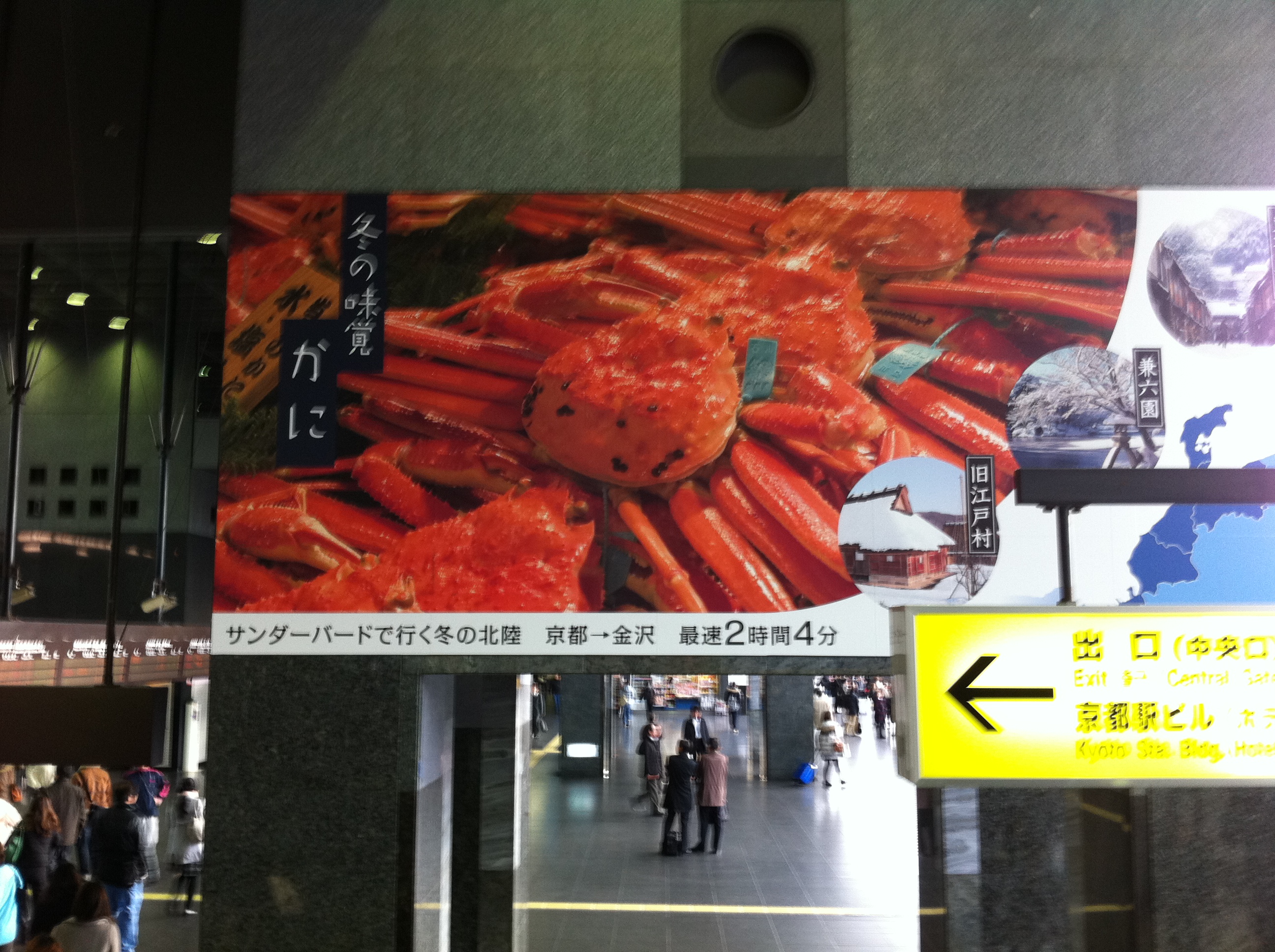 カニ　カニ　どこカニ？？