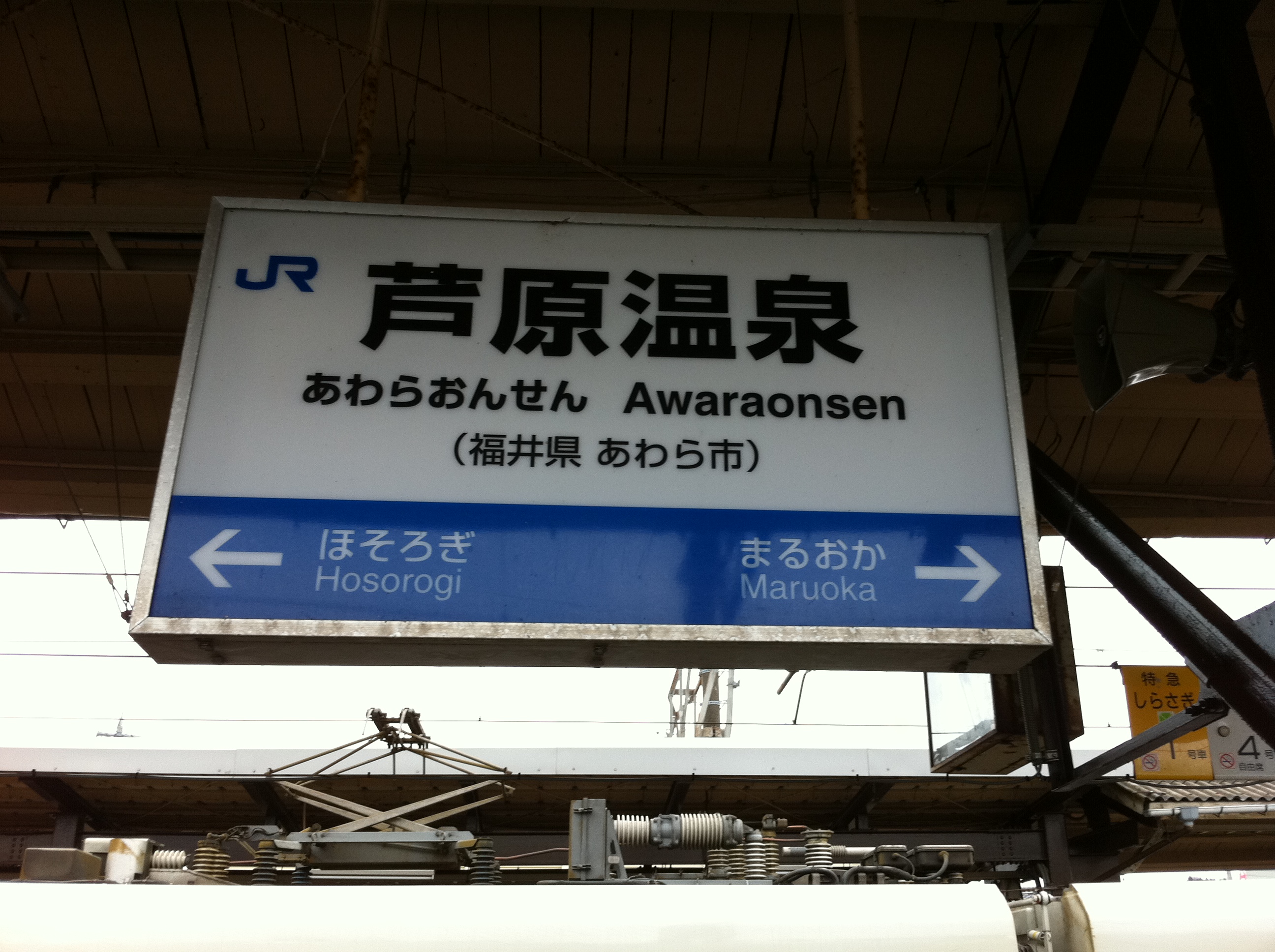 カニ　カニ　どこカニ？？