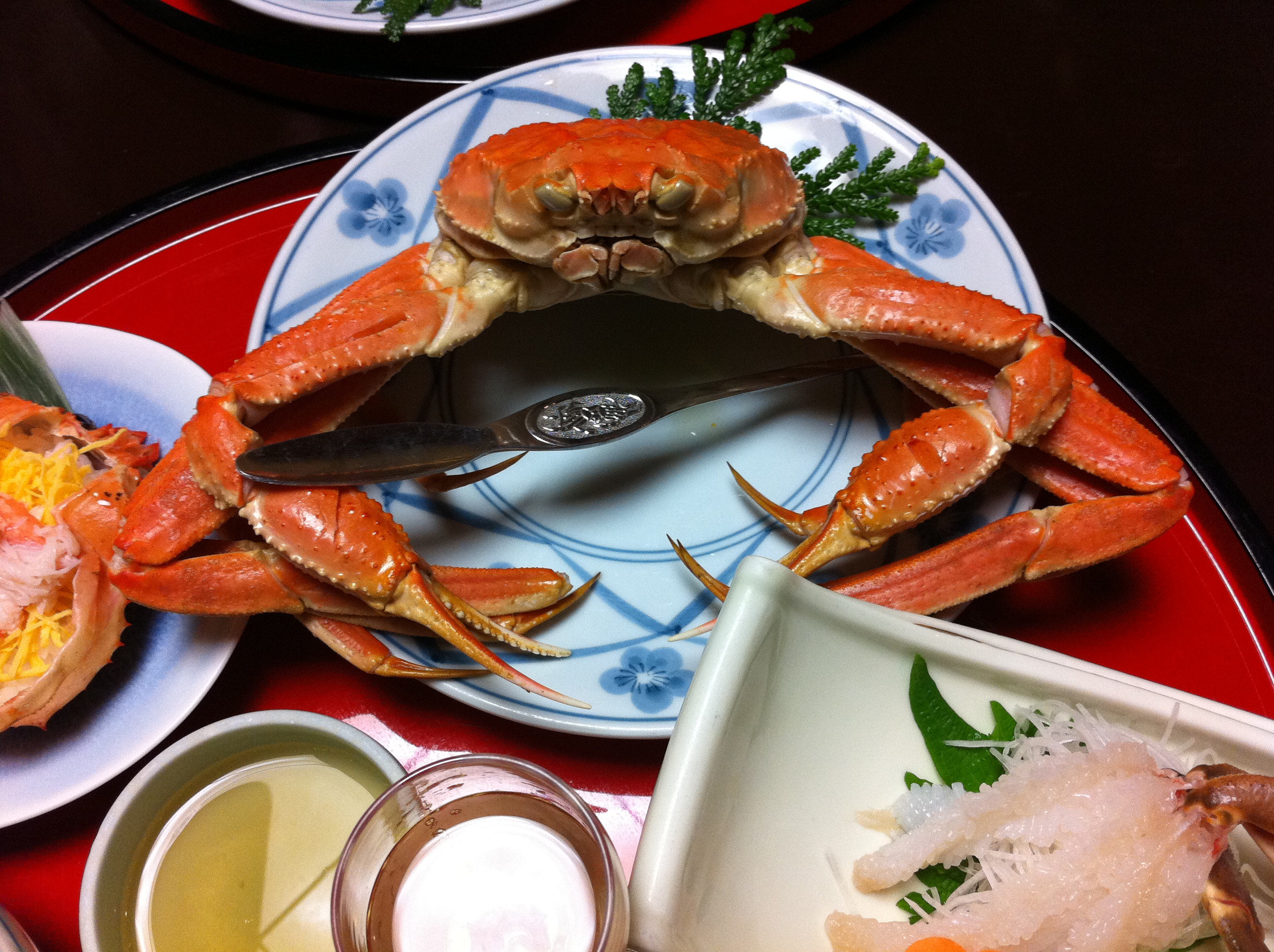 カニ　カニ　どこカニ？？