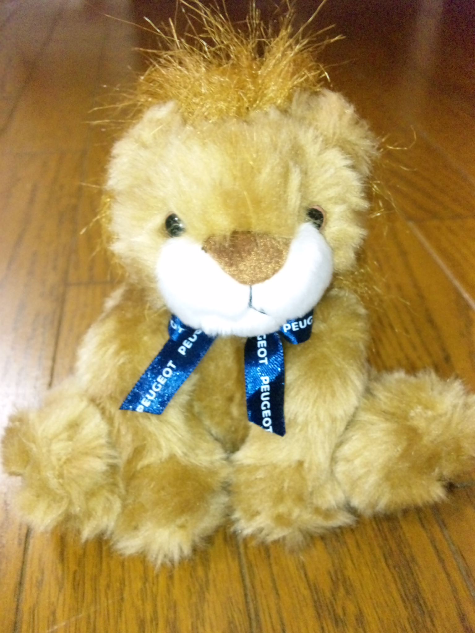 買っちゃいました。（照）