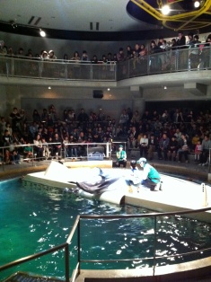 城崎といえば・・・