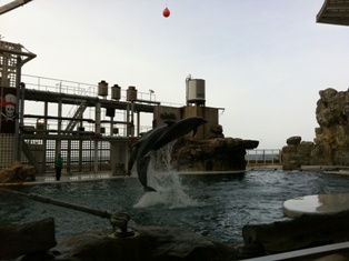 城崎といえば・・・