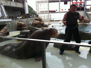 城崎といえば・・・