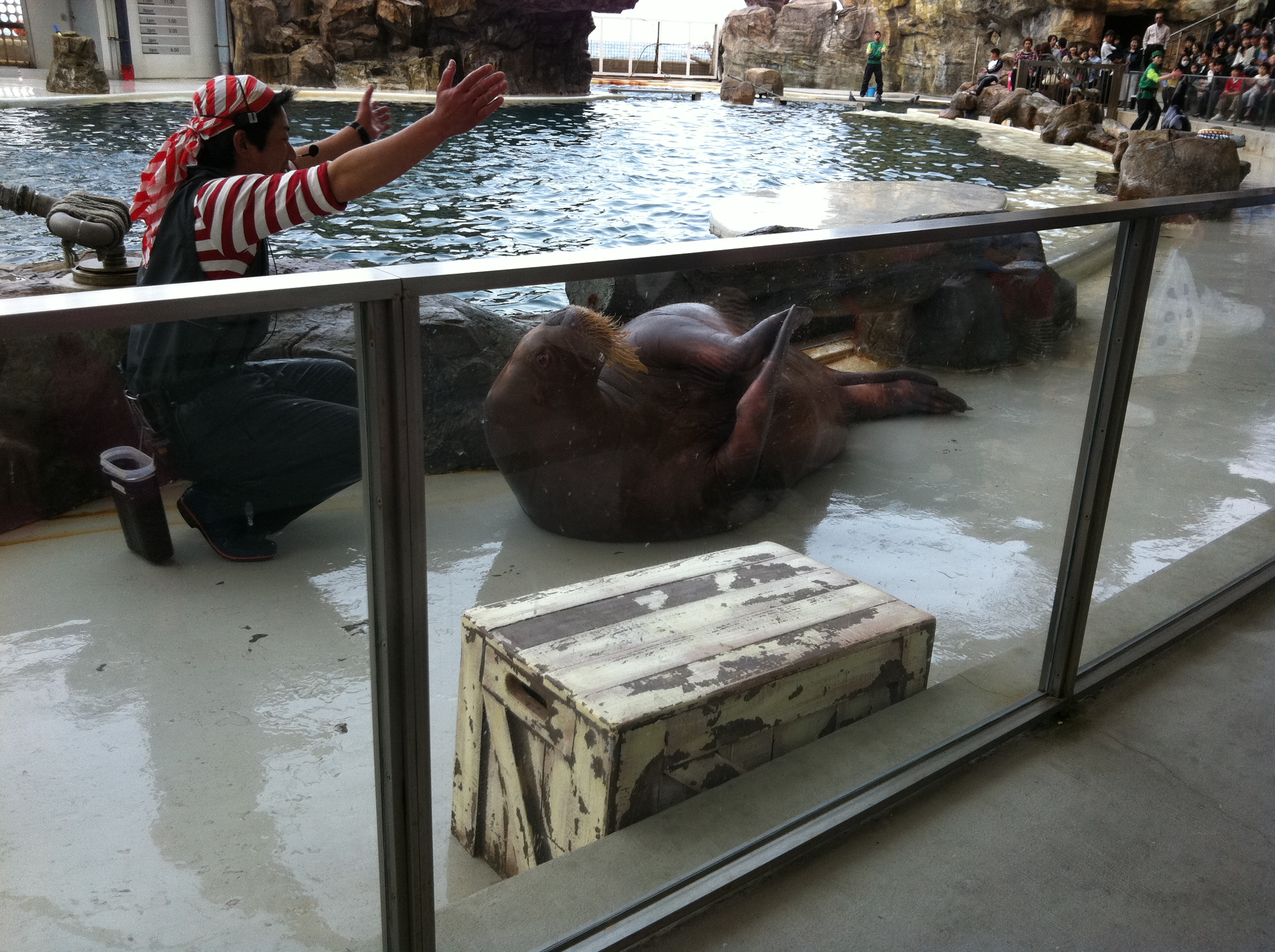 城崎といえば・・・