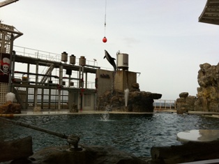 城崎マリンワールドで…