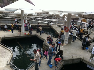 城崎マリンワールドで…