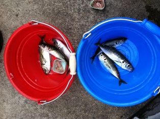 城崎マリンワールドで…