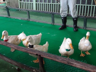 北海道旅行～登別クマ牧場～