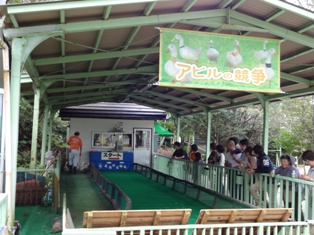 北海道旅行～登別クマ牧場～