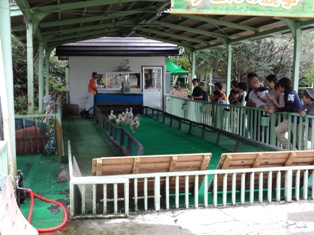 北海道旅行～登別クマ牧場～