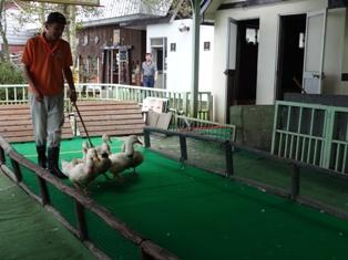 北海道旅行～登別クマ牧場～