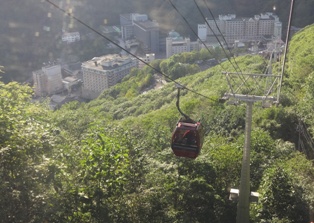 北海道旅行～登別クマ牧場～