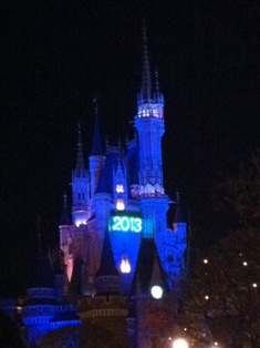 ディズニーランドで年越し