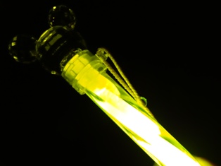 ディズニーランドで年越し