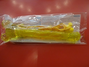 ディズニーランドで年越し