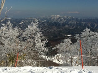 今年もスキーに！