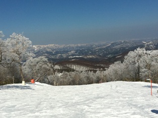 今年もスキーに！