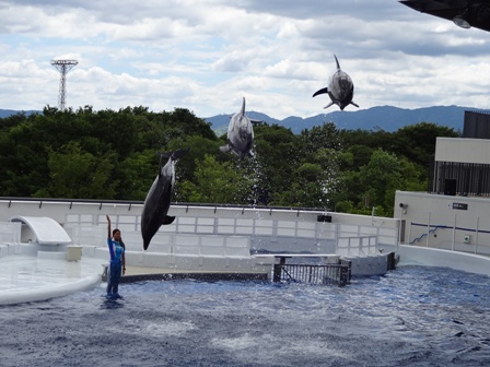 京都水族館