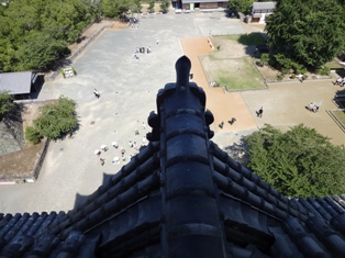 熊本といえば…