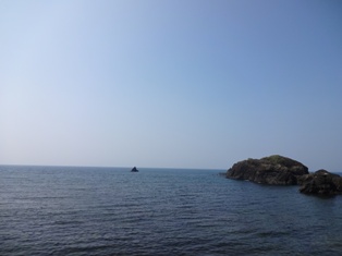 今回の水族館は…