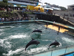 今回の水族館は…