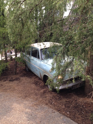 ハリーポッター♪