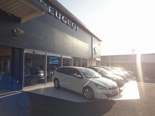 日本みつばち！？