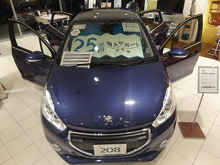 25万円購入サポートクーポン